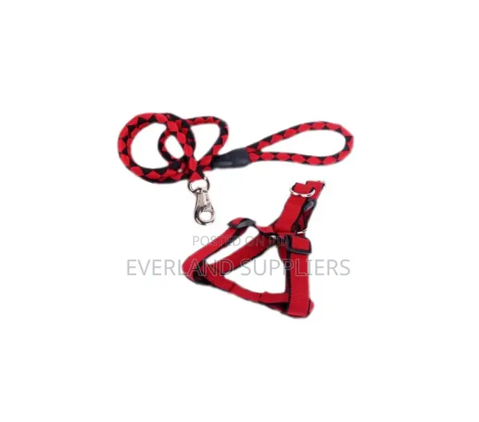 Dog Leash And Harness