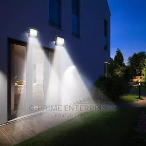 100watts Flood Light