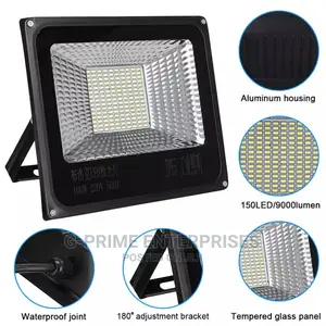 100watts Flood Light