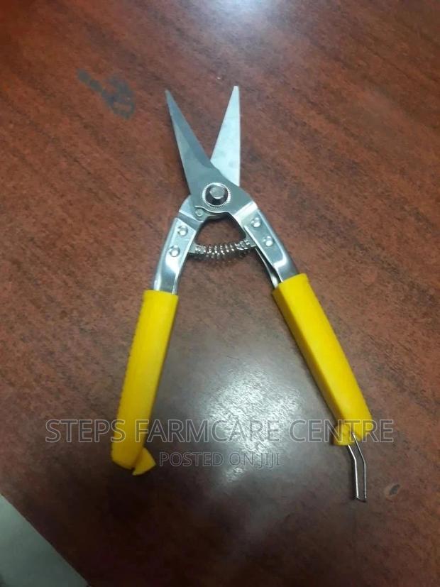 Goats Shear Trimmer - main view