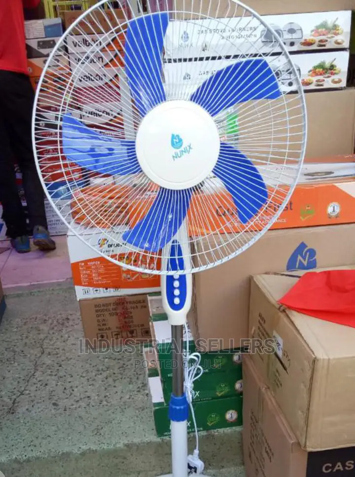 Standing Fan