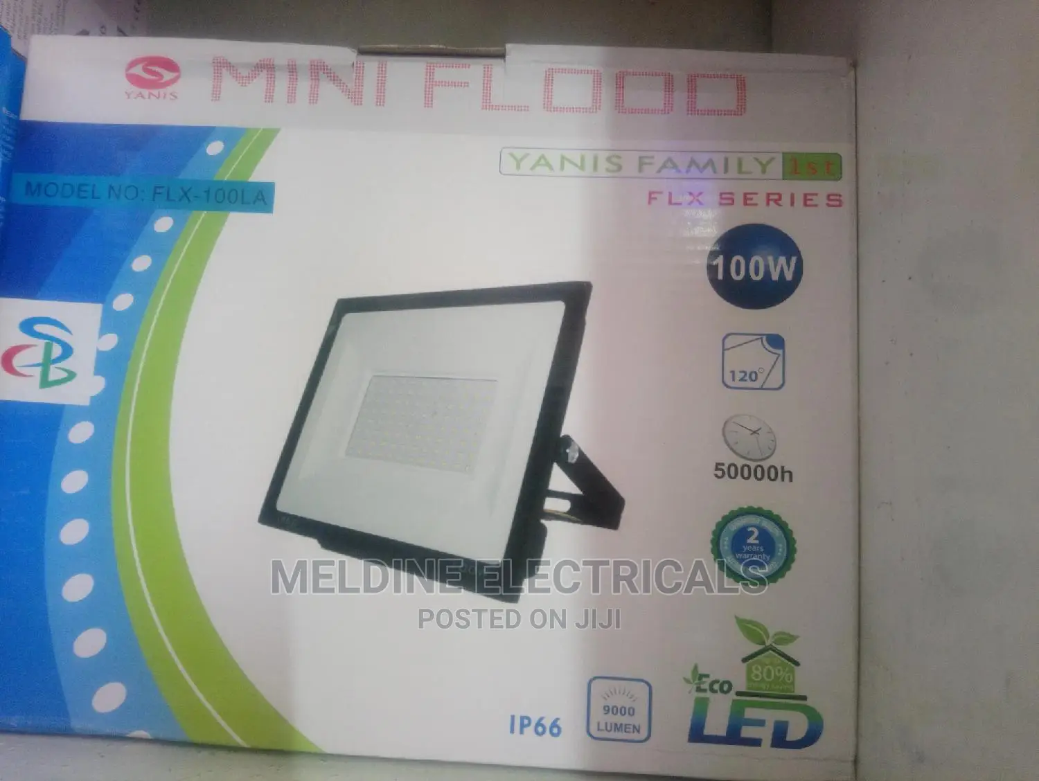 100watts Floodlight