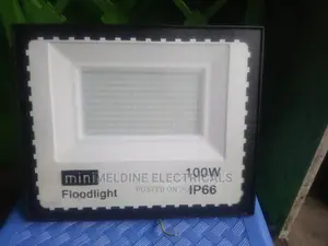 100watts Floodlight