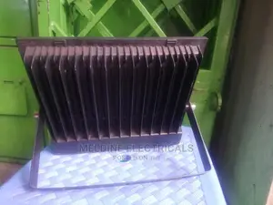 100watts Floodlight