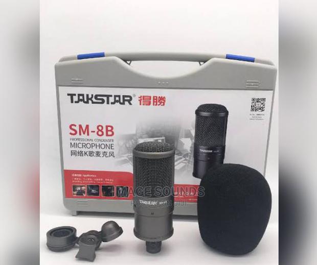 Takstar Studio Microphone - main view