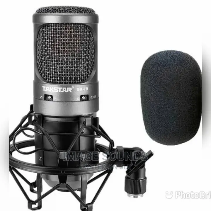 Takstar Studio Microphone
