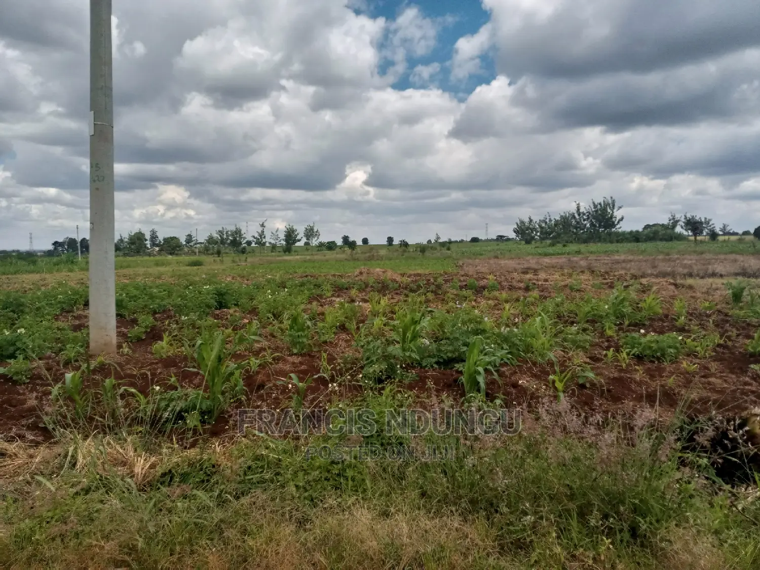 40x80 Plot for Sale Tinganga Anmer Next to Migaa Estate.