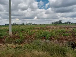 40x80 Plot for Sale Tinganga Anmer Next to Migaa Estate.