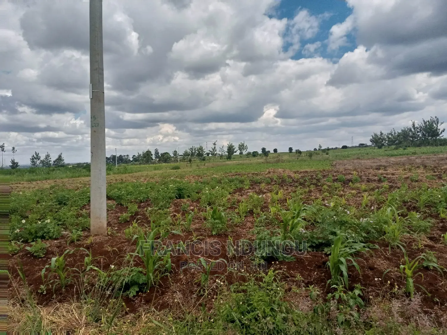 40x80 Plot for Sale Tinganga Anmer Next to Migaa Estate.