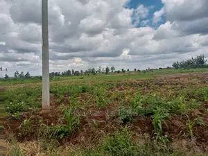 40x80 Plot for Sale Tinganga Anmer Next to Migaa Estate.