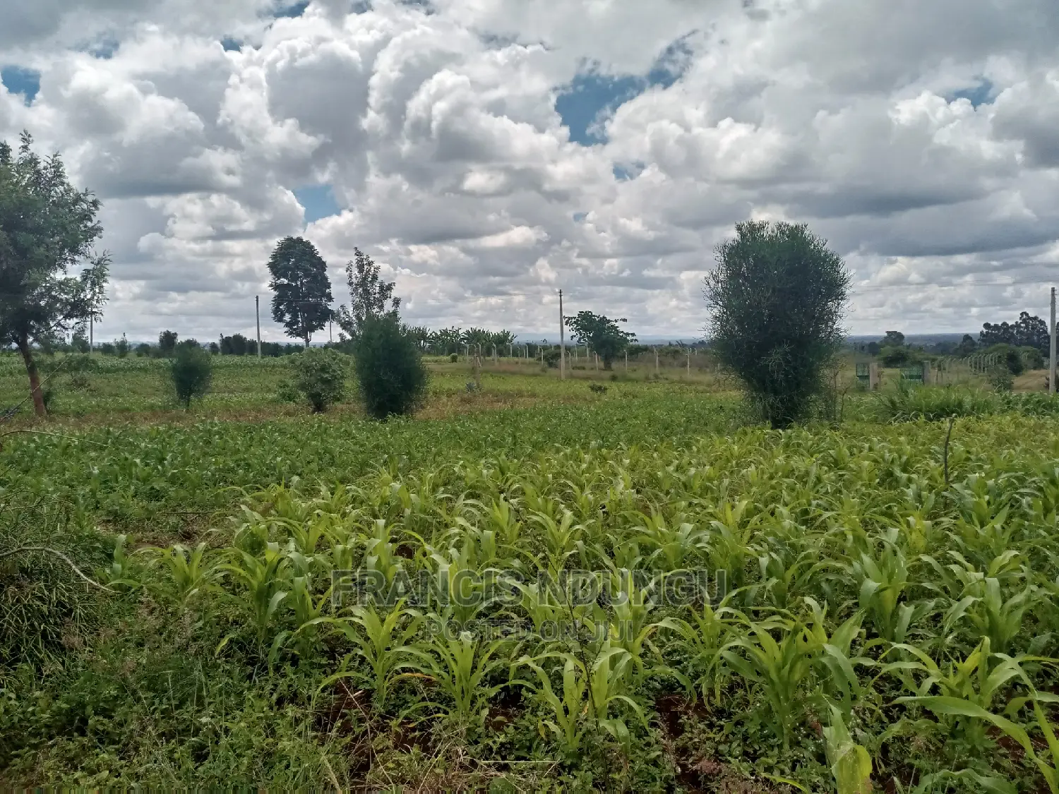 40x80 Plot for Sale Tinganga Anmer Next to Migaa Estate.