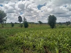 40x80 Plot for Sale Tinganga Anmer Next to Migaa Estate.