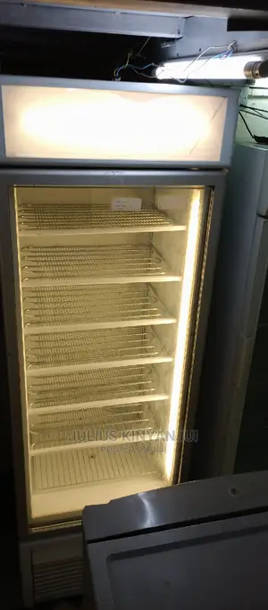 Upright Freezer