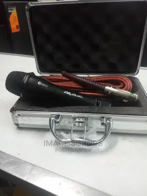 Ally Audio Corded Microphone