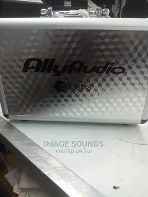Ally Audio Corded Microphone