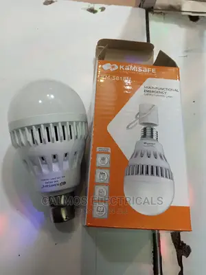 Emergency LED Bulbs