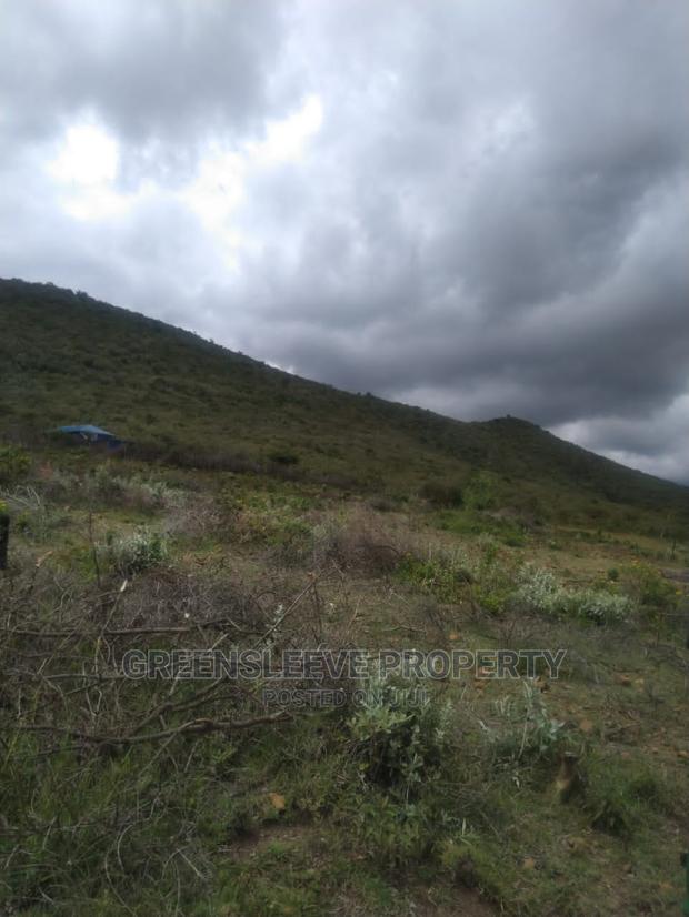 40 Acres for Sale