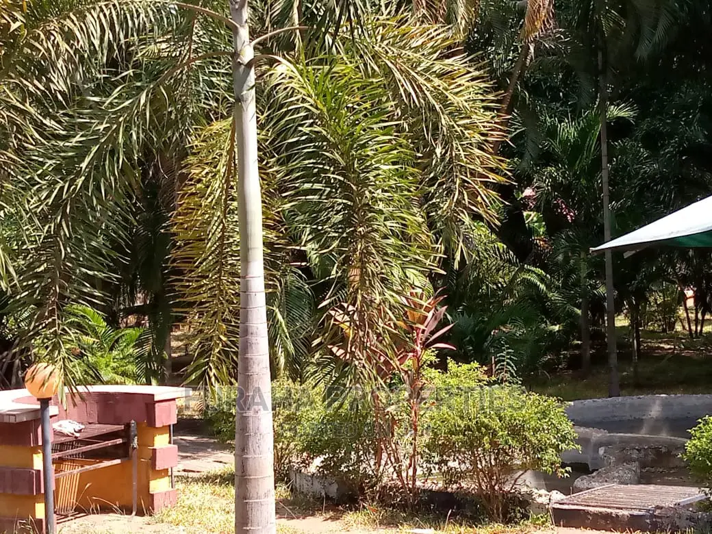 4bdrm Bungalow in Kikambala for sale