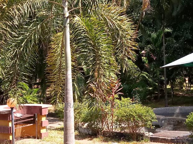 4bdrm Bungalow in Kikambala for sale - thumbnail 12