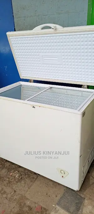 300L Deep Freezer