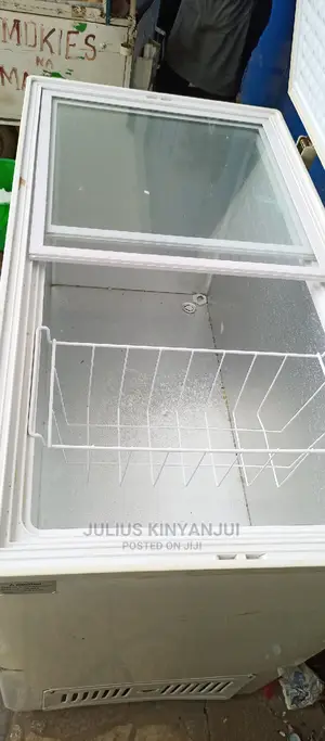 300L Deep Freezer