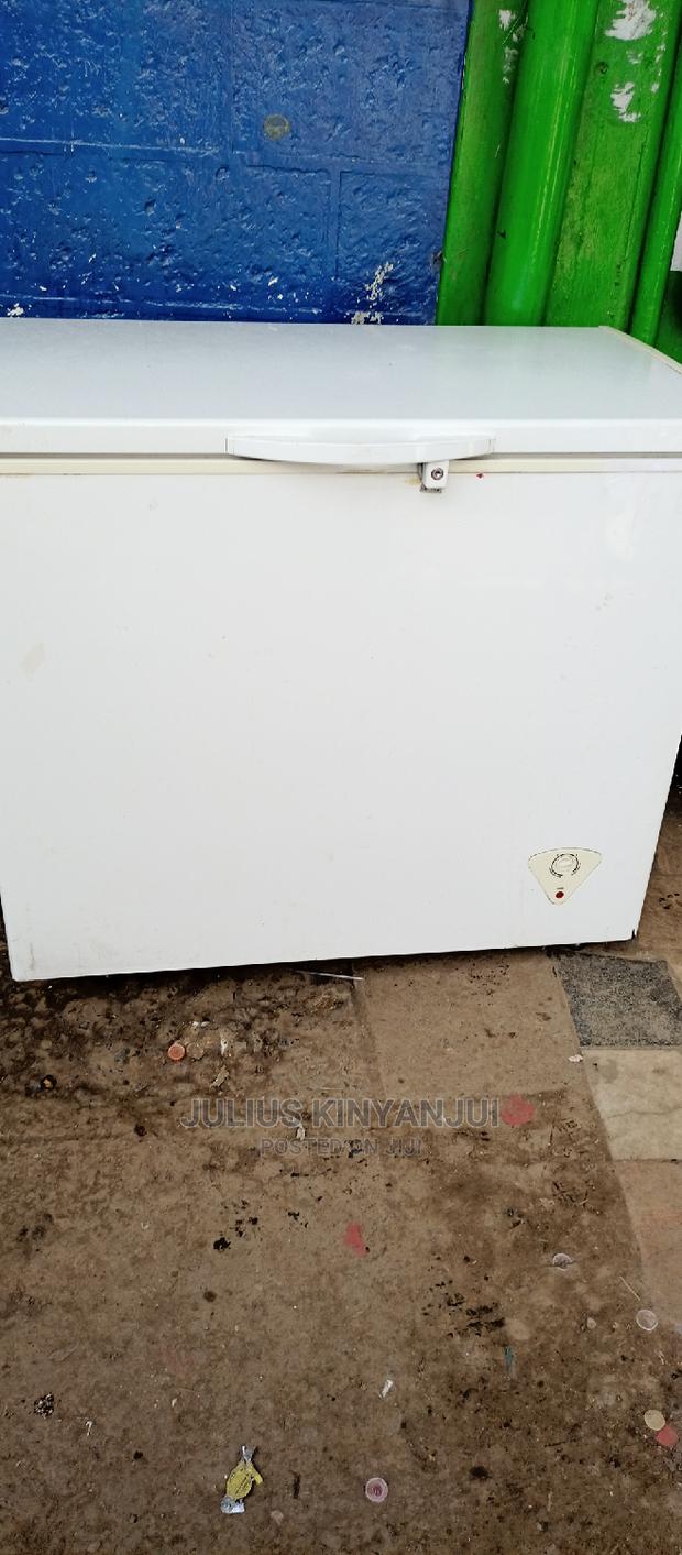 300L Deep Freezer - thumbnail 3