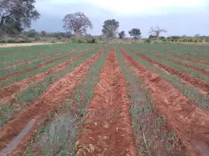 Agricultural Land/Farm 210 Acres