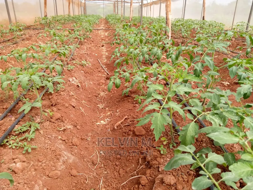 Agricultural Land/Farm 210 Acres
