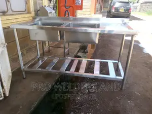 Stainles Steel Double Sink