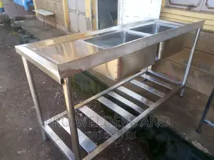 Stainles Steel Double Sink