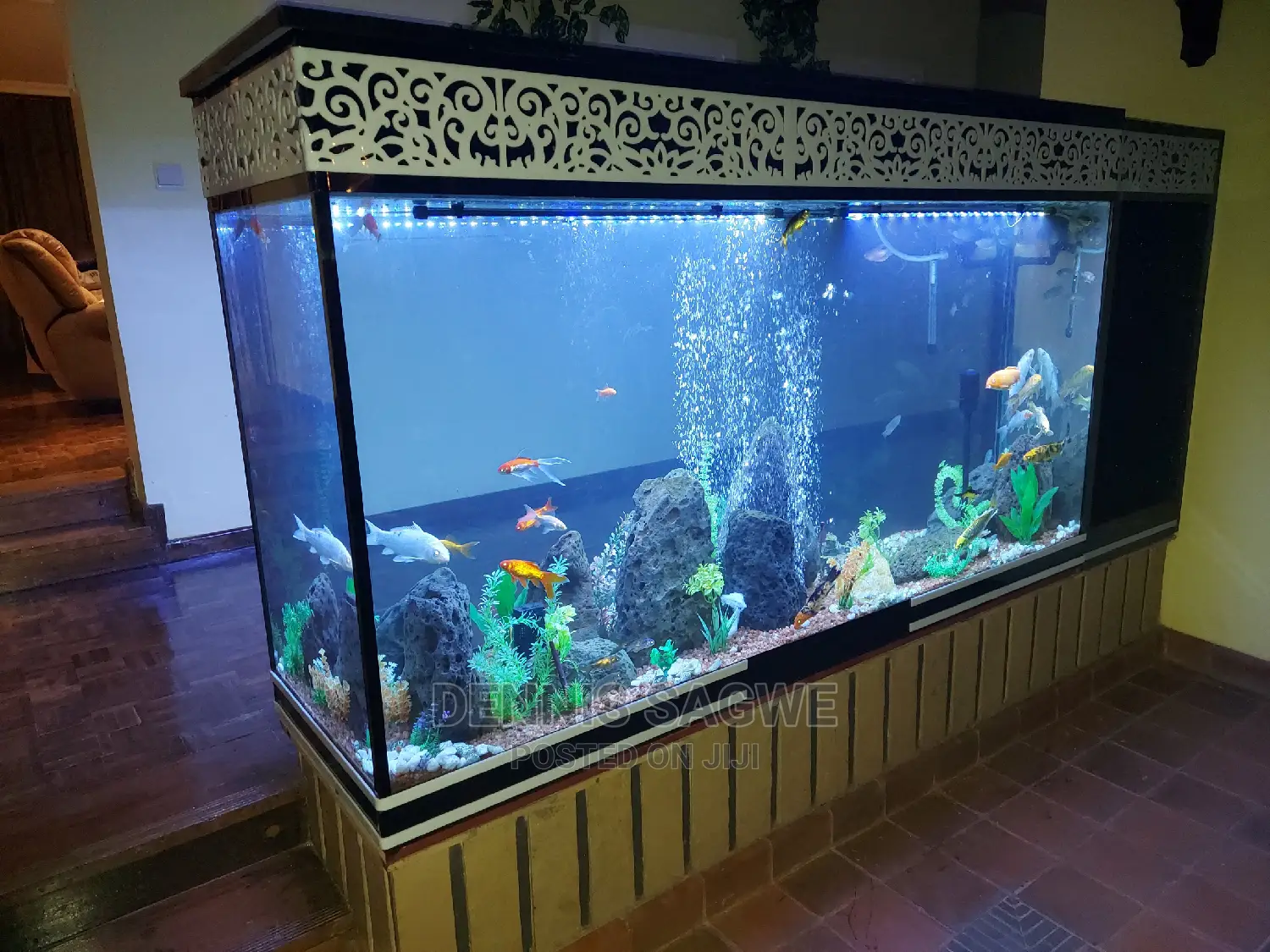 Aquadore Large Aquariums