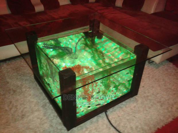 Aquadore Large Aquariums - thumbnail 9