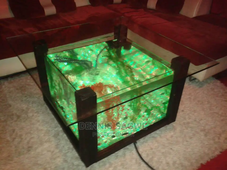Aquadore Large Aquariums