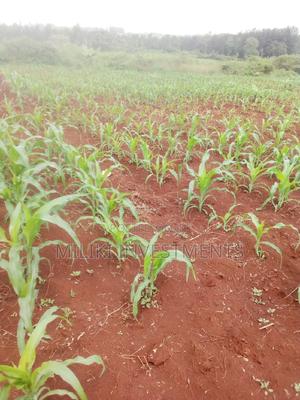 Acre of Land at Mbombo (Maragua) - thumbnail 2