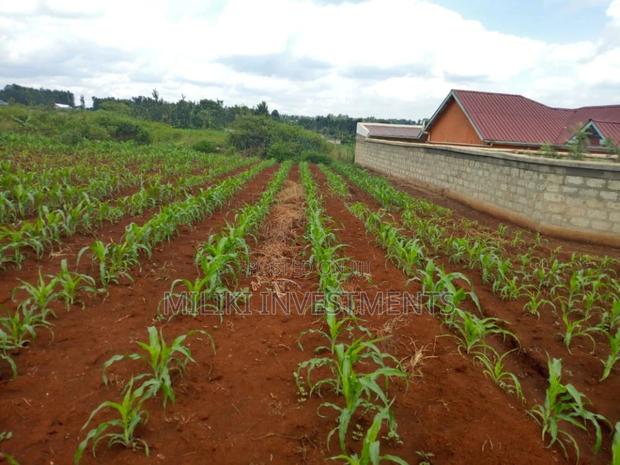 1/4 Acre of Land at Mbombo(Maragua) - main view