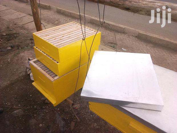 Modern Profitable Honey Bee Hives For Sale - thumbnail 2