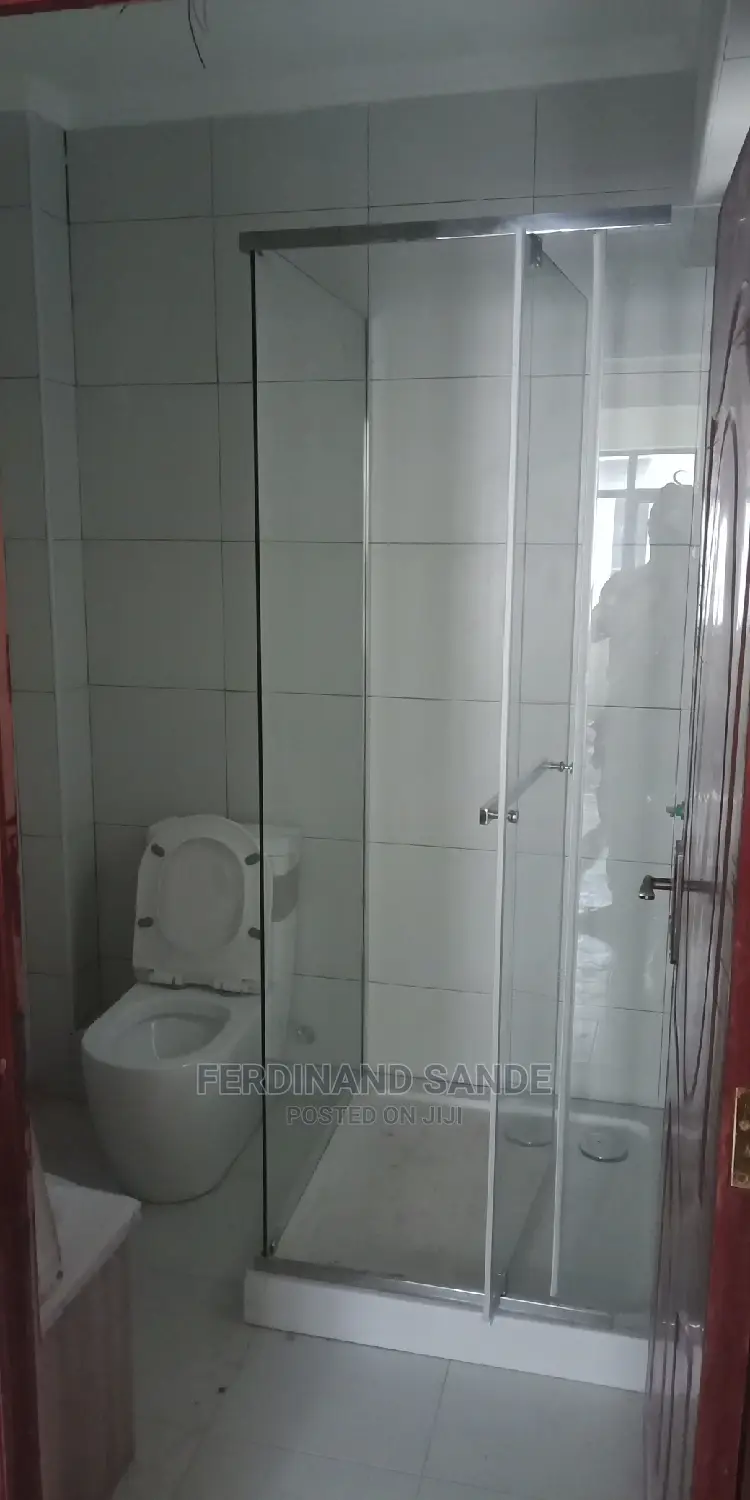 Professional Plumbing Work