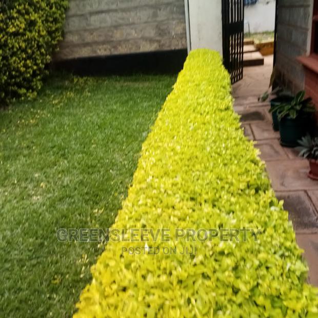 4bedrooms Townhouse 8 Houses - thumbnail 2