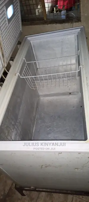 Deep Freezer Double Door