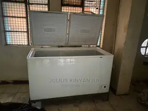 Deep Freezer Double Door