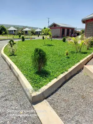 Lawn Care Services