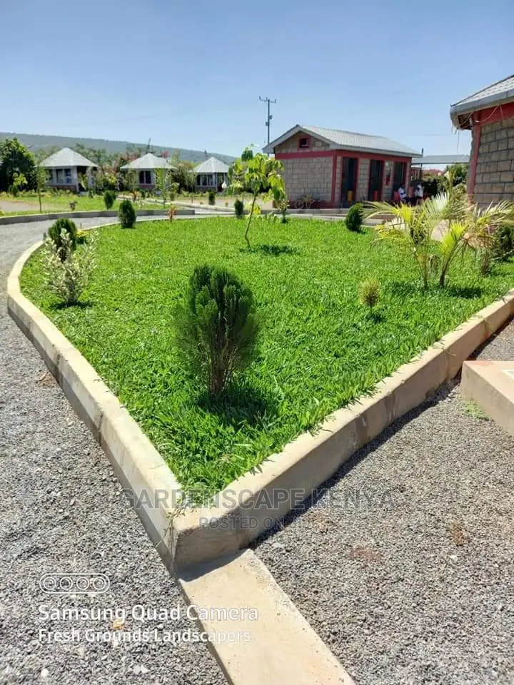 Lawn Care Services