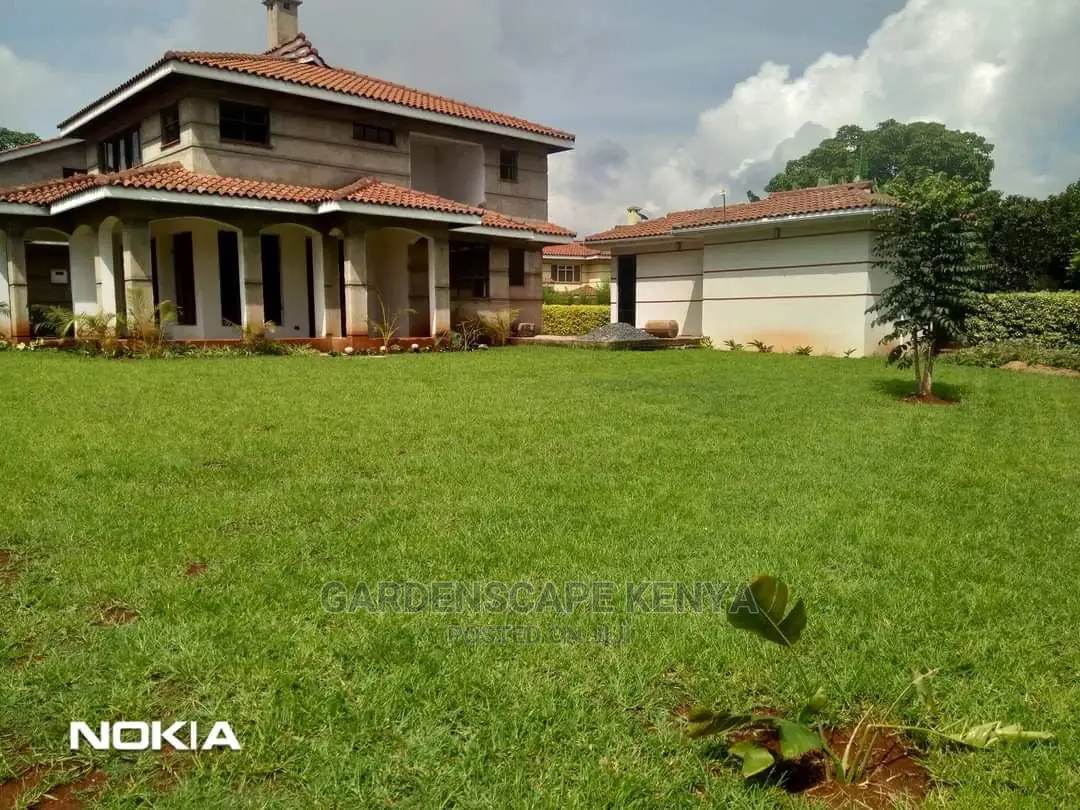 Lawn Care Services