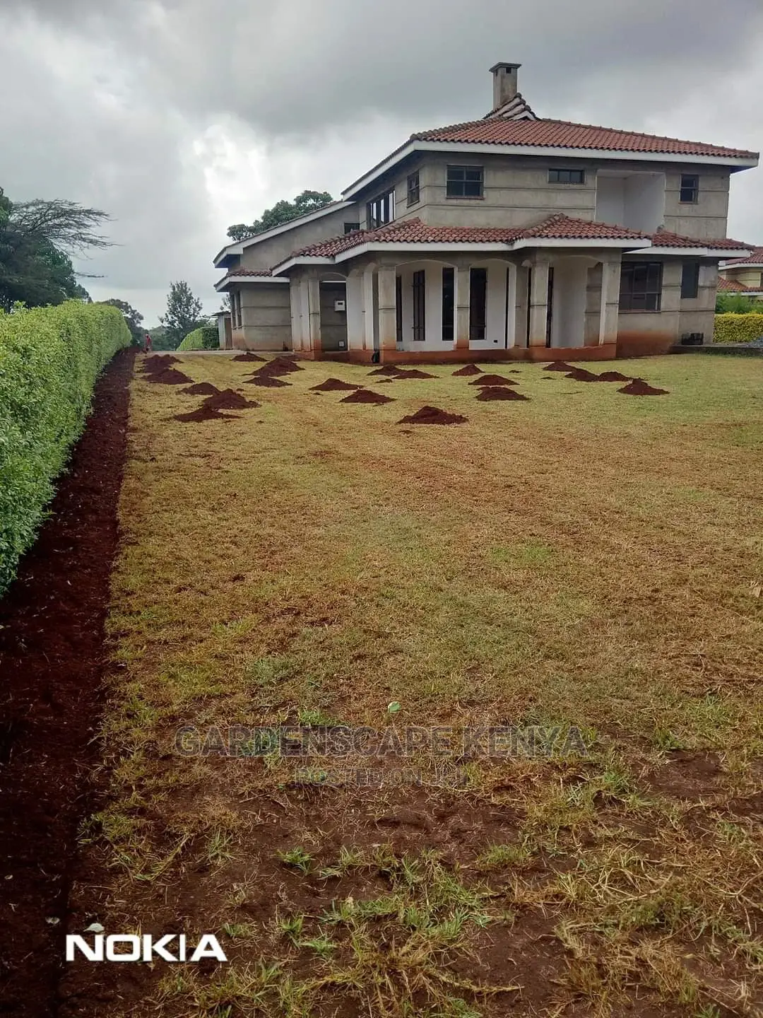 Lawn Care Services