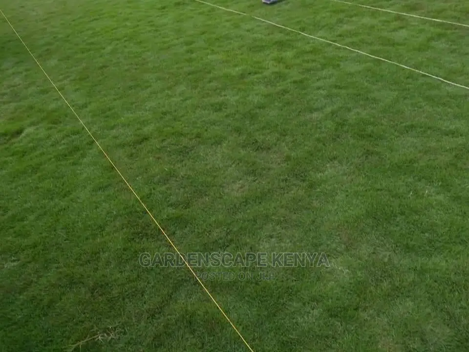 Lawn Care Services