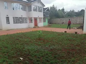 Lawn Care Services