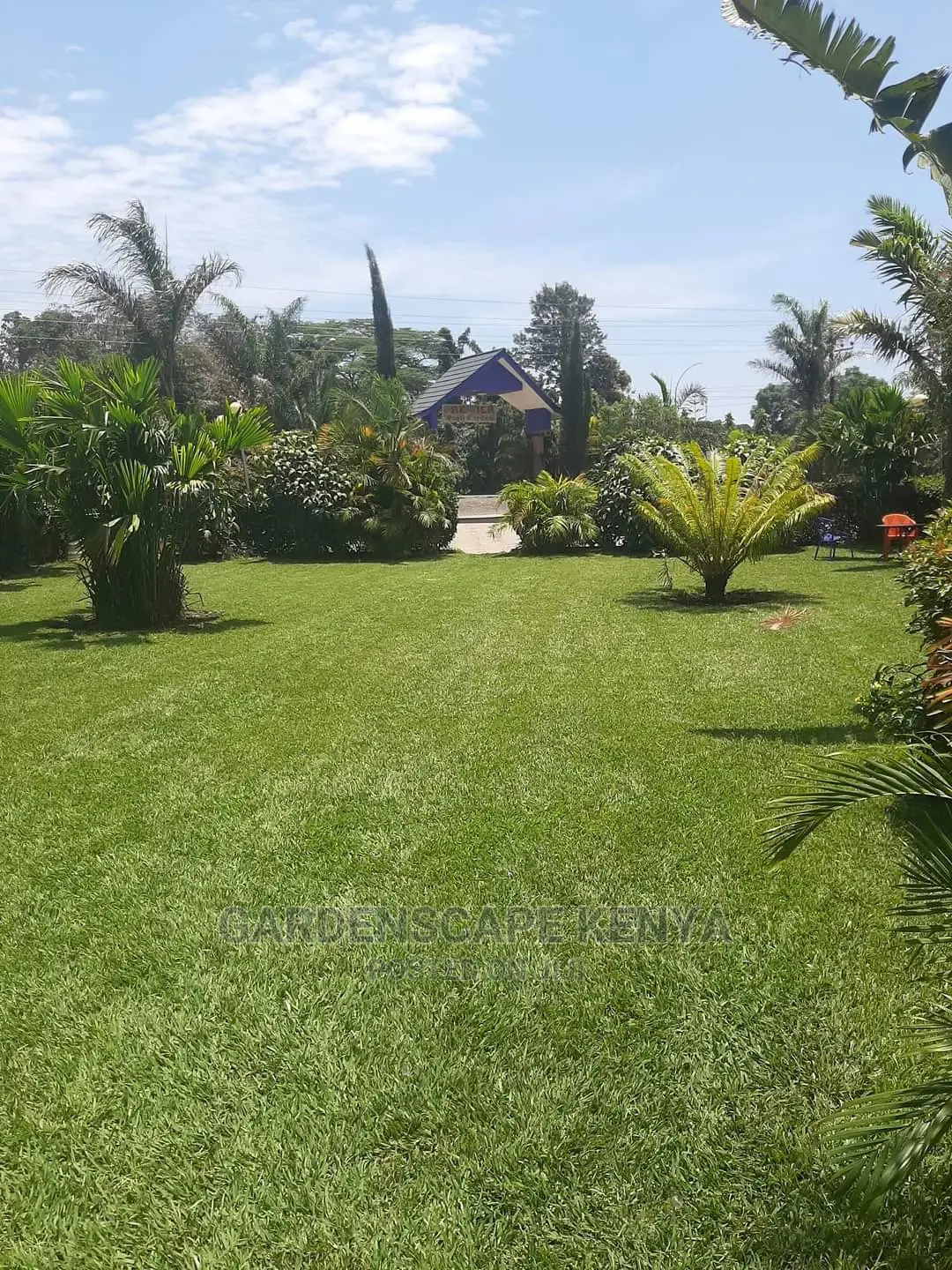Lawn Care Services