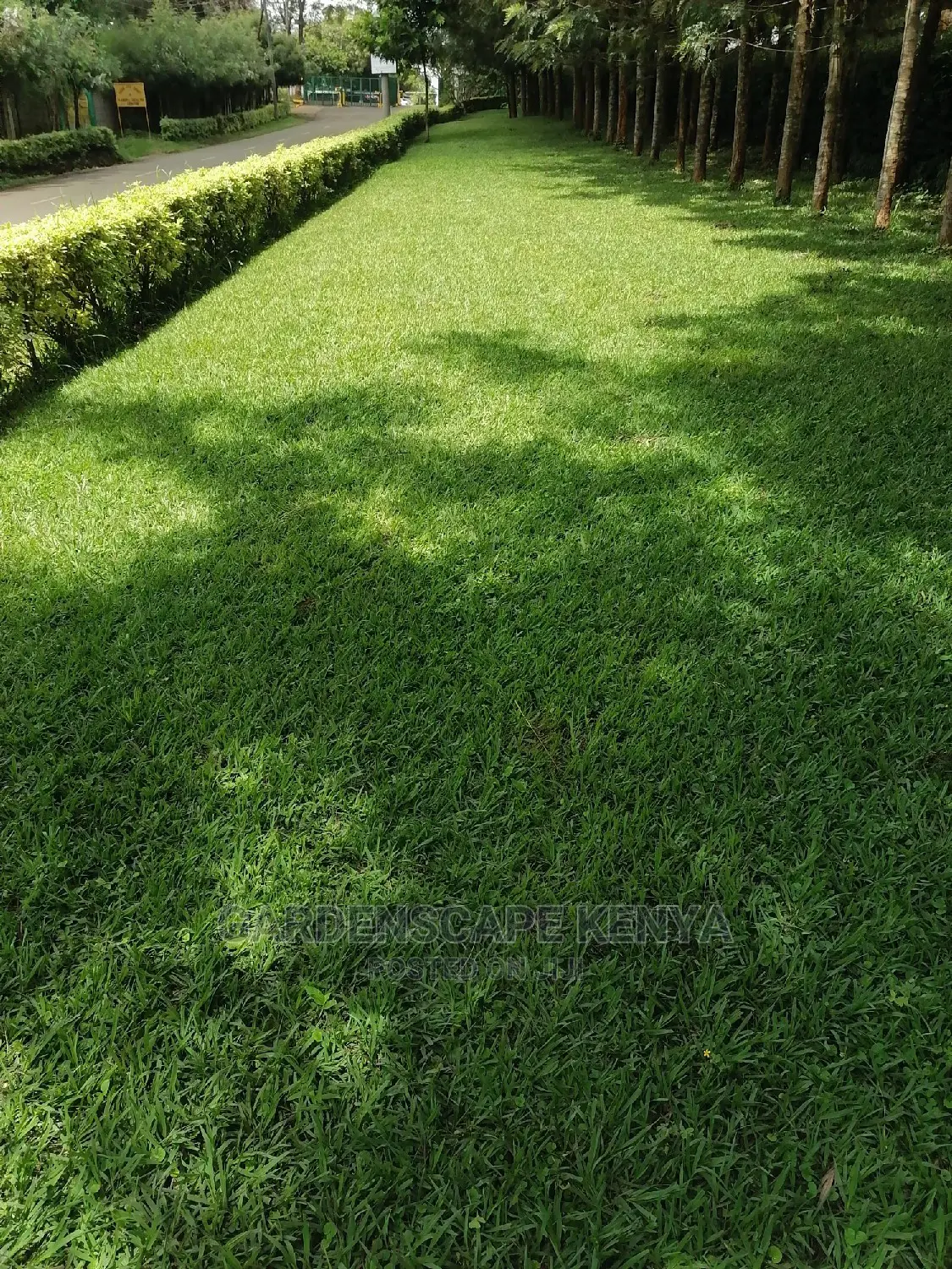 Lawn Care Services