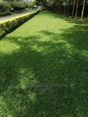 Lawn Care Services