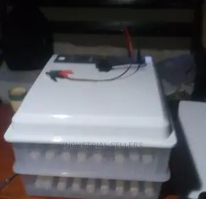 New Stock 56 Egg Incubator Machine